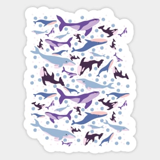 Whales everywhere Sticker